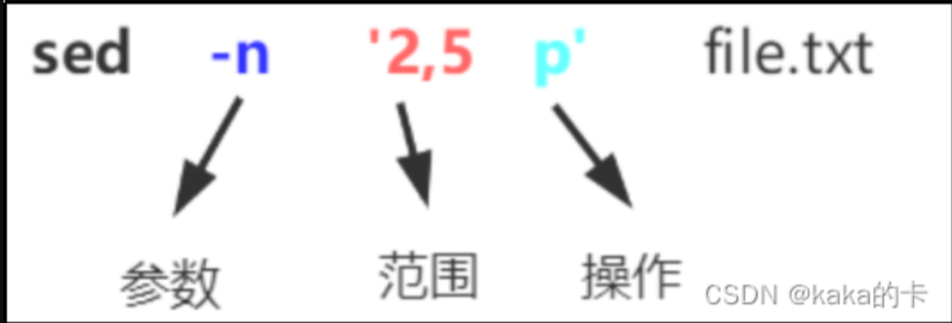 image-20241106204518340.png