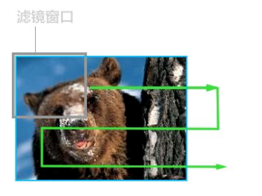 image-20241113113849716.png