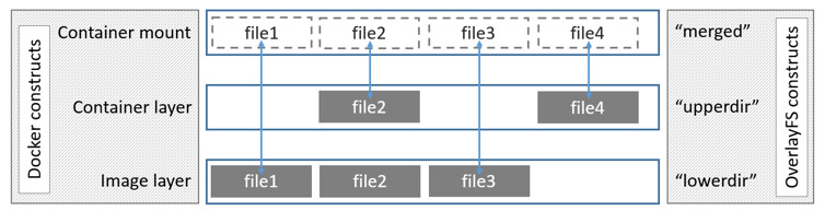 image-20241117202145538.png
