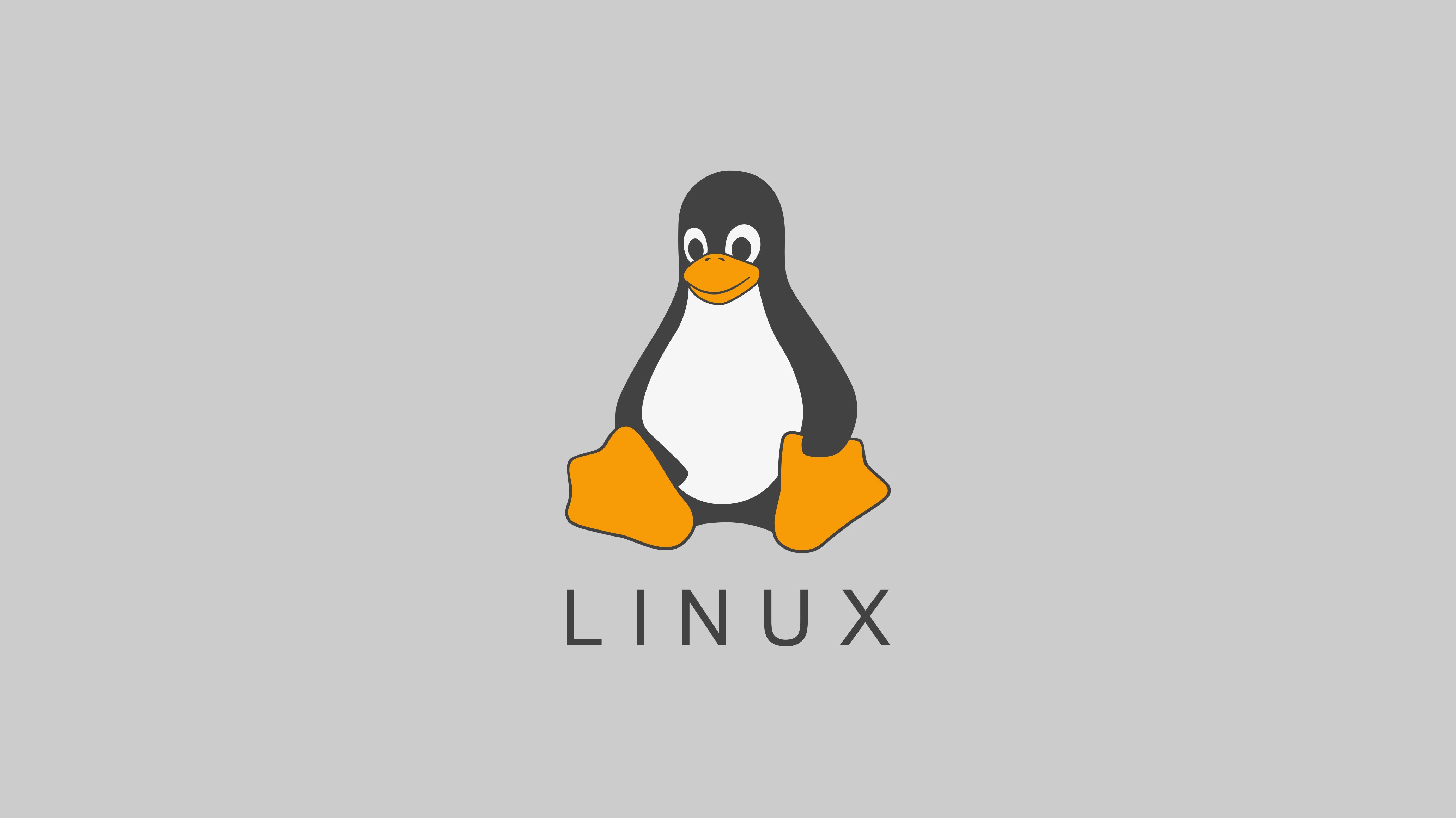 Linux 动态库格式详解